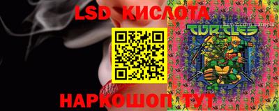 крисы Беслан