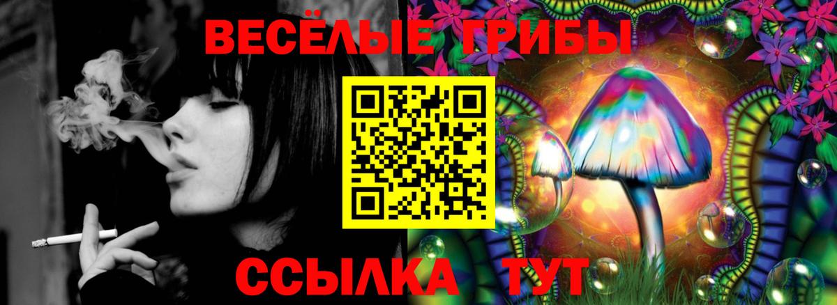Галлюциногенные грибы Cubensis Кимовск
